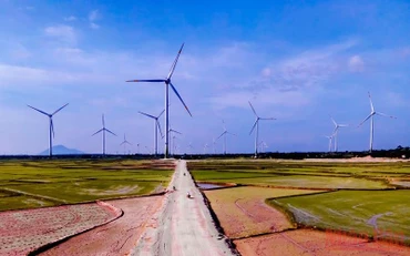 Năng lượng tái tạo là một trong những động lực quan trọng cho mục tiêu phát thải ròng bằng 0 năm 2050.
