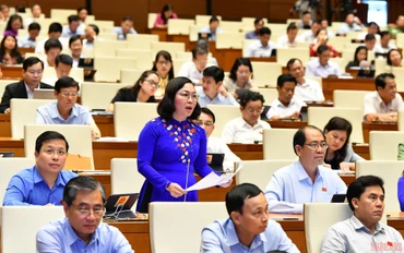 Đại biểu Lý Anh Thư (Kiên Giang) phát biểu tại phiên thảo luận của Quốc hội về dự án Luật Phòng, chống bạo lực gia đình (sửa đổi), chiều 14/6. (Ảnh: LINH NGUYÊN)