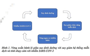 Bảo đảm dinh dưỡng cho F0 điều trị tại nhà thế nào?