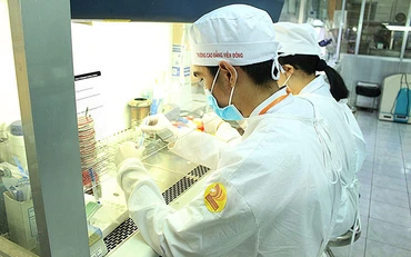 Đào tạo tại Trường Cao đẳng Viễn Đông, TP Hồ Chí Minh. (Ảnh minh họa: CDV).