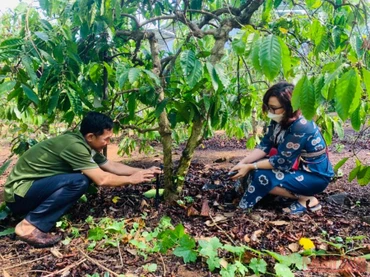 Ông Trương Hoàng Trung, xã Quảng Hiệp, huyện Cư M’gar, Đắk Lắk giới thiệu mô hình tưới tiết kiệm nước cho cây cà-phê. (Ảnh: Công Lý)