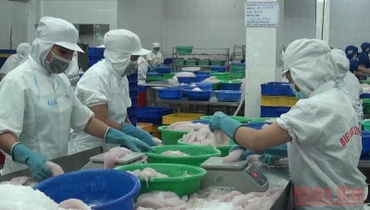 14 Hiệp hội doanh nghiệp đại diện cho cộng đồng doanh nghiệp Viêt Nam gửi kiến nghị đến Thủ tướng.