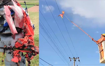 Diều vướng vào đường dây điện-nguy cơ gây mất an toàn nghiêm trọng