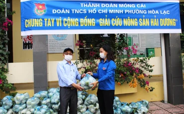 Tuổi trẻ TP Móng Cái giúp nông dân Hải Dương tiêu thụ nông sản
