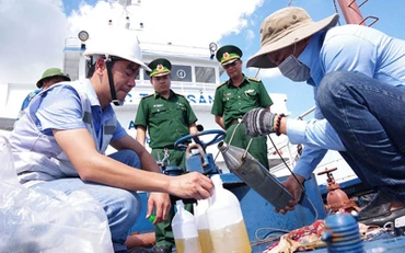 (Ảnh minh họa)