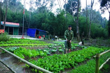 Cán bộ chốt số 4 , Đồn Biên phòng CKQT Nậm Cắn chăm sóc rau.