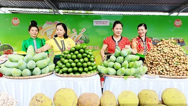 Nông sản Sơn La tại Hà Nội