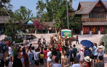 Bất chấp dịch Covid-19, Du lịch Việt Nam vẫn được WEF đánh giá tích cực (Ảnh minh họa: CTV)