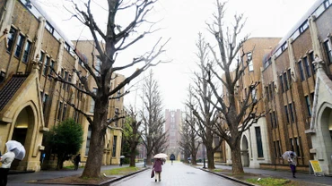 The University of Tokyo (Ảnh minh hoạ: PERRY LI/FLICKR)