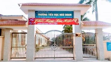 Chấm dứt hợp đồng với giáo viên Trường tiểu học Ngũ Đoan (Hải Phòng)