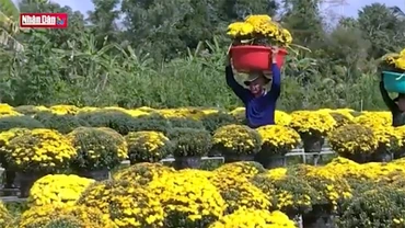 Làng hoa Sa Đéc vào Xuân