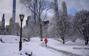 Tuyết phủ trắng tại New York, Mỹ, ngày 7/1. (Ảnh minh họa: AFP/TTXVN)