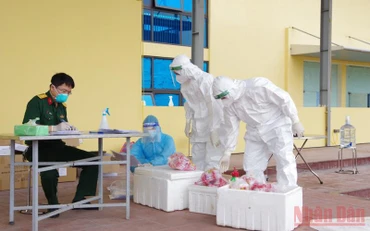 Đoàn công tác của quân đội tiếp nhận mẫu xét nghiệm sàng lọc SARS-CoV-2 tại nơi xét nghiệm lưu động.