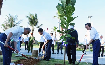 Trồng cây hưởng ứng Tuần lễ Biển và Hải đảo Việt Nam tại khu vực Công viên Văn hóa đá, thành phố Tuy Hòa, tỉnh Phú Yên. (Ảnh TRUNG TUYẾN)