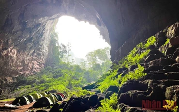 Cửa hang Pygmy, hang động lớn thứ tư thế giới, nằm trong vùng lõi VQG Phong Nha-Kẻ Bàng. (Ảnh: Mỹ Hạnh) 