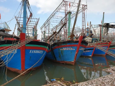 Các tàu đánh cá được hỗ trợ lắp đặt thiết bị giám sát hành trình, có điều kiện vươn khơi, bám biển dài ngày cho hiệu quả kinh tế cao.    