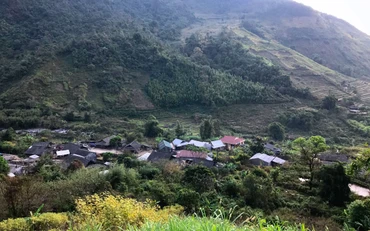 Xanh ngát màu Pu Ta Leng