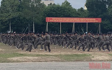 Các chiến sĩ biểu diễn kỹ năng võ thuật tại lễ bế giảng.
