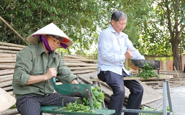 Nhân viên Hợp tác xã Sinh Dược ở huyện Gia Viễn (Ninh Bình) chế biến dược liệu. (Ảnh TRẦN GIANG) 