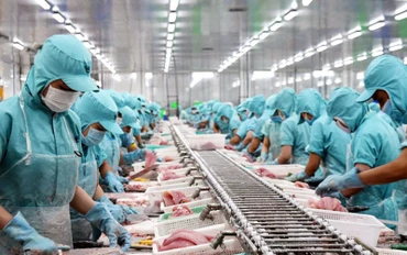 Thủy sản Việt Nam nhiều cơ hội thâm nhập sâu thị trường EU.