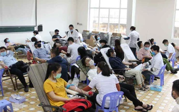 Các bạn trẻ hiến máu tại Ngày hội “Chủ nhật Đỏ”