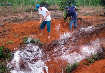 Lực lượng chức năng tiêu hủy đàn gia cầm mắc bệnh.
