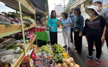 Người dân tham quan, tìm hiểu các gian hàng trưng bày, giới thiệu tại Tuần lễ trái cây “Trên bến dưới thuyền”. 