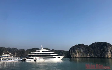 Đón khách lên du thuyền ở Cát Bà.