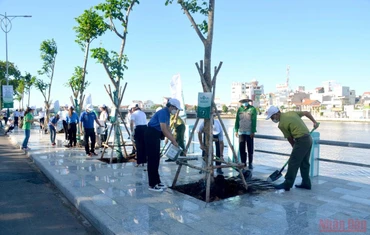 Trồng cây xanh trên tuyến đường dọc bờ sông Cà Ty, thành phố Phan Thiết.