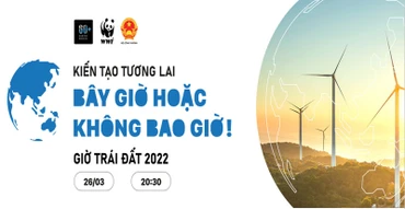 Hưởng ứng Giờ Trái đất, cả nước tiết kiệm hơn 300 nghìn kW giờ điện