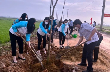Các đại biểu dự Lễ phát động trồng một triệu cây xanh tham gia trồng cây xanh tại khu vực Đồng Nghè, xã Thạch Hạ (TP Hà Tĩnh). 