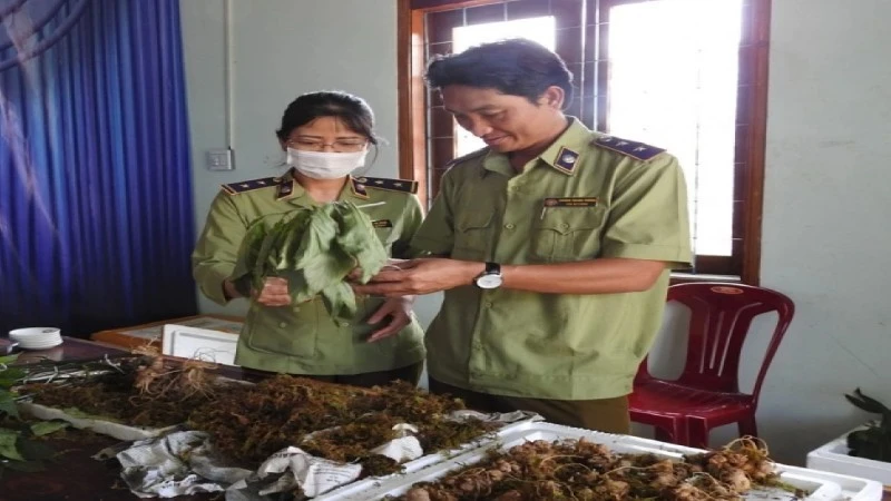 Ngăn chặn vi phạm sở hữu trí tuệ ngay từ khâu xác lập quyền