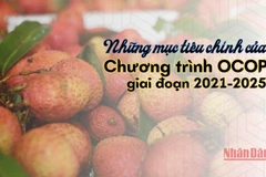 [Infographic] Những mục tiêu chính của Chương trình OCOP giai đoạn 2021-2025