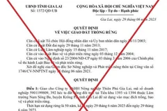Gia Lai bác bỏ thông tin cấp gần 400 ha rừng cho doanh nghiệp