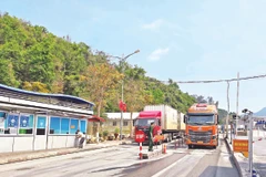 Xuất, nhập khẩu hàng hóa qua cửa khẩu quốc tế Hữu Nghị-Hữu Nghị Quan.