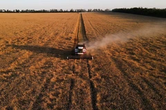 Ảnh minh họa. Nguồn: Reuters