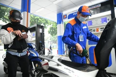 Ảnh: THÀNH ĐẠT