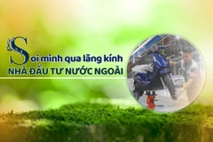 Soi mình qua lăng kính nhà đầu tư nước ngoài