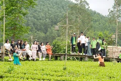 Du khách trải nghiệm đồi chè tại Bản Ven. 