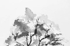 Bông trang đỏ giữa rừng