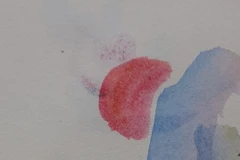 Cảm xúc