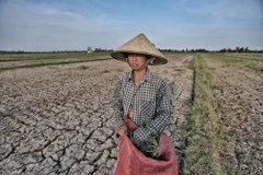 Sau ba năm liên tiếp La Nina, El Nino đang đến gần và có khả năng ở mức cực đoan. Ảnh: Ngọc Dương