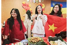 Sắc màu Việt Nam đã được các bạn trẻ thể hiện cuốn hút tại lễ hội ẩm thực.