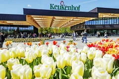 Mùa tham quan tại vườn Keukenhof