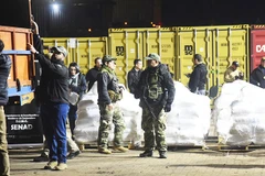 Cảnh sát thường xuyên phát hiện các lô hàng cocaine tại Antwerp. Ảnh: BELGA NEWS