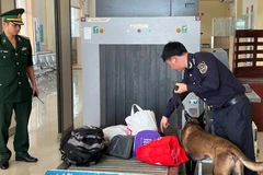 Việc siết chặt kiểm soát đối với các mặt hàng và địa bàn trọng điểm được Chi cục Điều tra chống buôn lậu triển khai thường xuyên. (Ảnh: MINH PHƯƠNG)