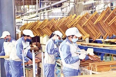 Sản xuất chế biến gỗ tại Công ty Cổ phần Woodsland Tuyên Quang. (Ảnh THANH PHÚC)
