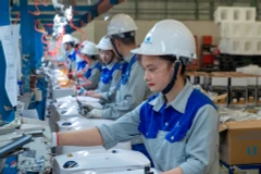 Trong năm 2024, chỉ tiêu tăng năng suất lao động đã vượt kế hoạch đề ra, sau ba năm không đạt. (Ảnh Sơn Tùng)