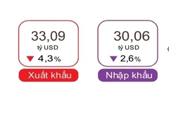 Tổng kim ngạch xuất nhập khẩu tháng 1/2025. Nguồn TCTK