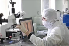Nghiên cứu khoa học ở trường đại học (Ảnh minh họa)